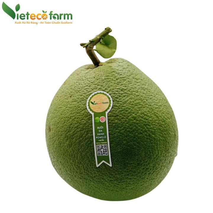 Bưởi da xanh - Loại ăn